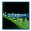Drizzle Ocean Rain Music Project - Fresh Light Spring Rain