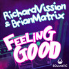 Richard Vission - Feeling Good (DSKOTEK Remix)