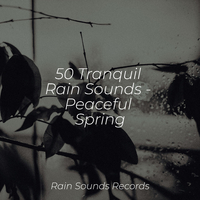 50 Tranquil Rain Sounds - Peaceful Spring