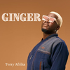 Terry Afrika - Musandisiye (feat. Mathias Mhere)