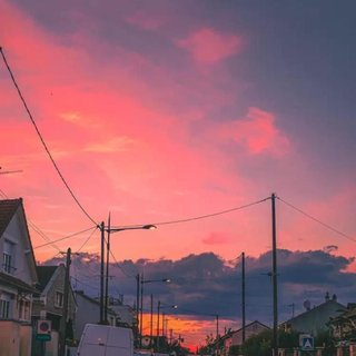 纯音 l 慵懒下午茶必备/清新舒缓小时光