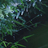 山听雨
