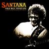 Santana - Smooth Criminal (Live)