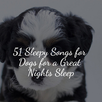 Relaxation Music For Dogs