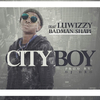 Luwizzy - Cityboy