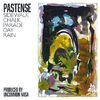 Pastense - The Ills