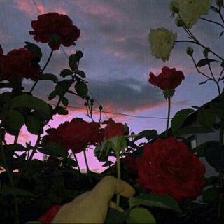 ♥【俄语、循环系列】Люблю русский ♪