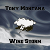 Tony Montana - Fair Play