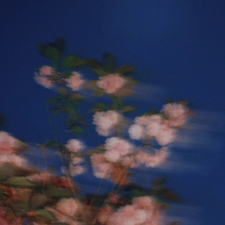 下次可以送我花吗