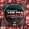 DJ Rafinha DN - Vem pra Parmalat