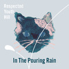 Respected Youth Hill - In the pouring rain (feat. akiko)
