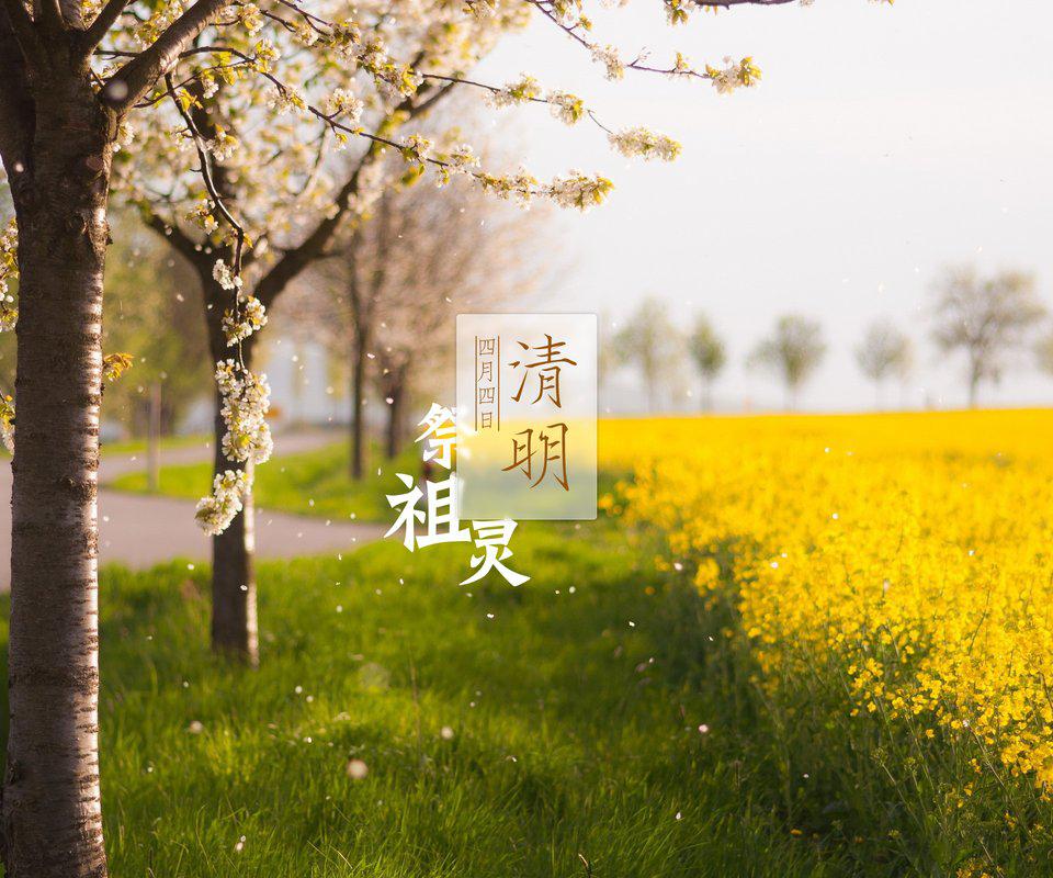 清明 - 桑葚上的猴子